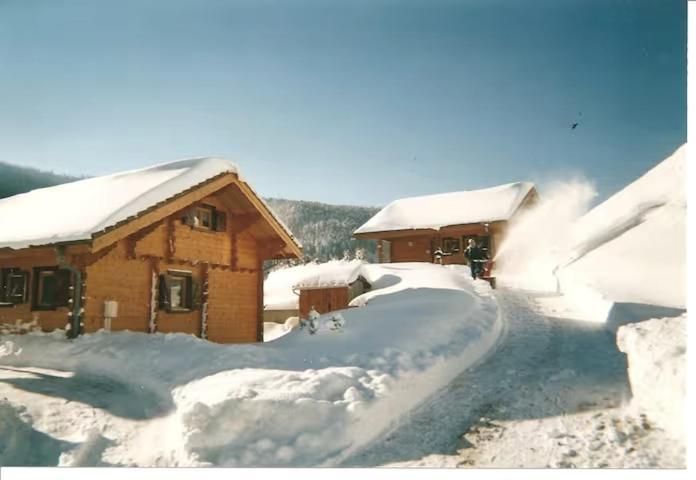 Le "Chalet De Minette" 2 Etoiles La Bresse Exterior foto